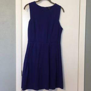 Gorgeous cobalt blue Madewell dress